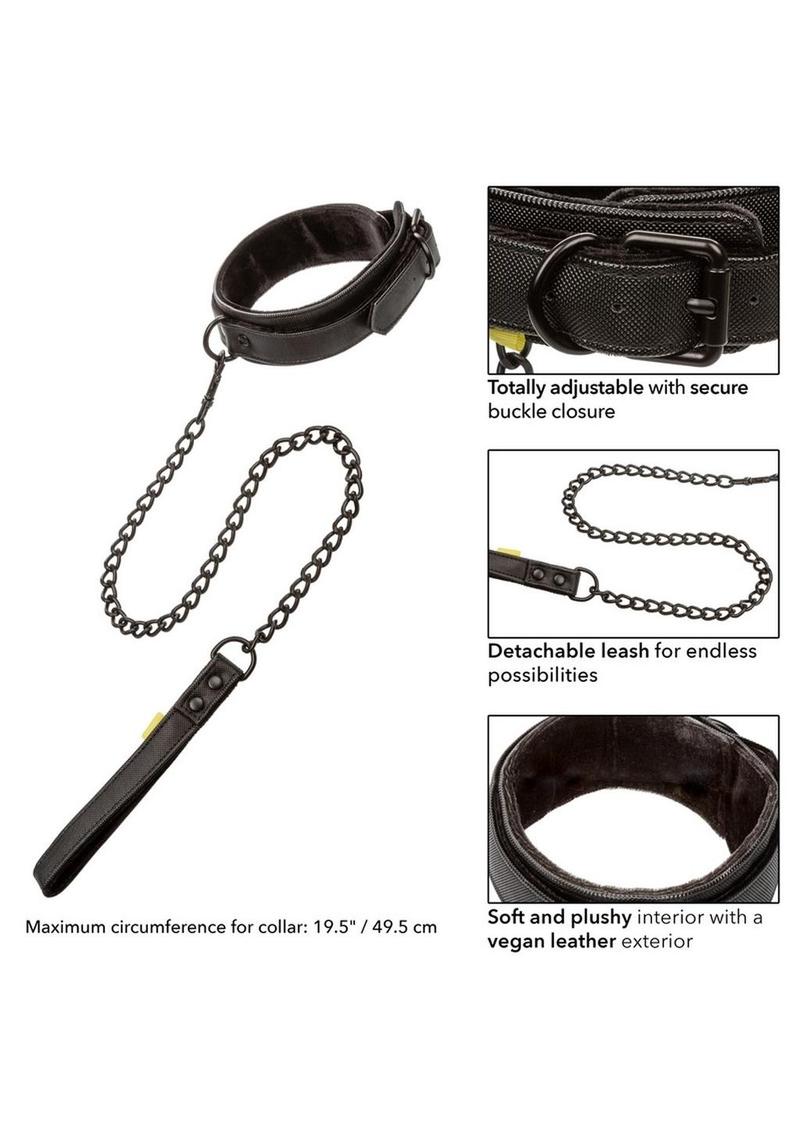 Boundless Collar and Leash