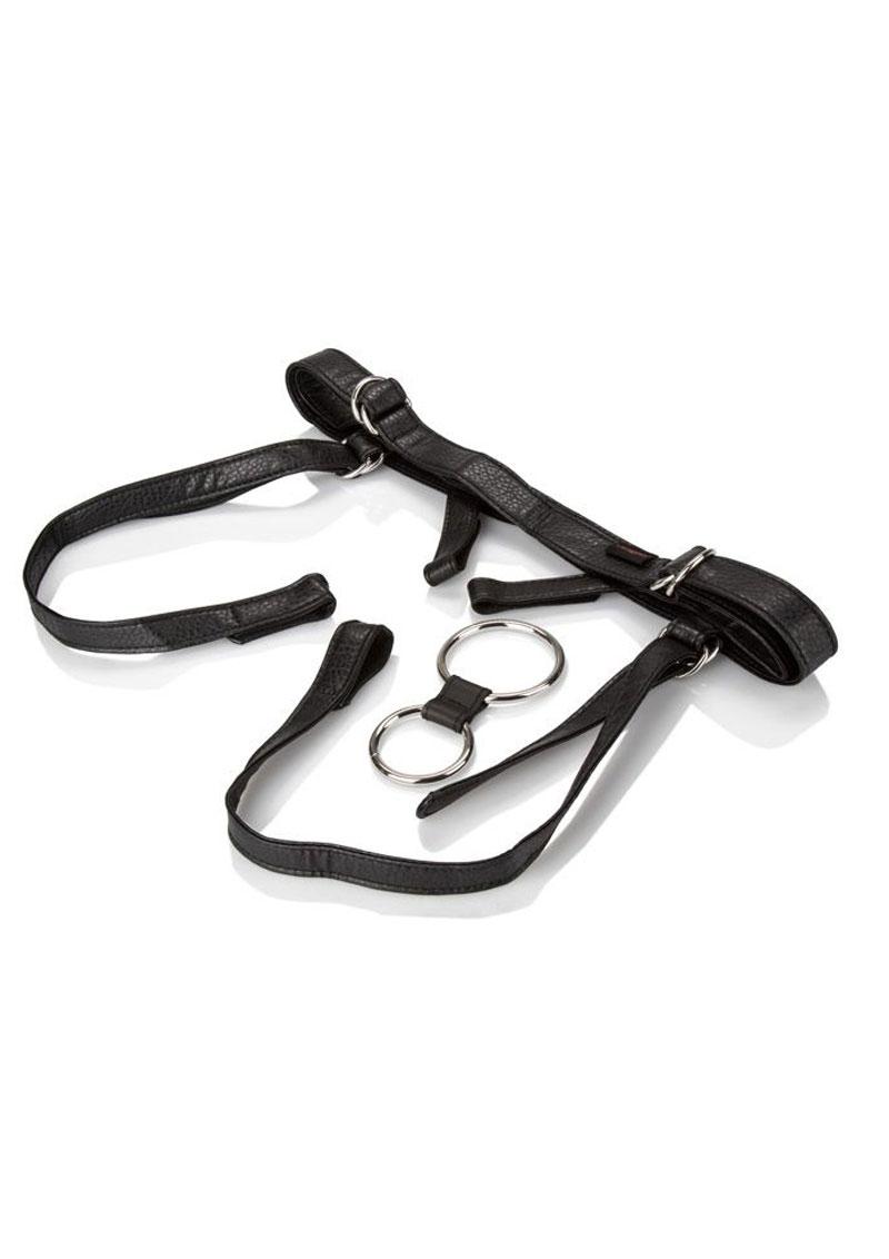 Her Royal Harness The Duchess Adjustable Harness - Black