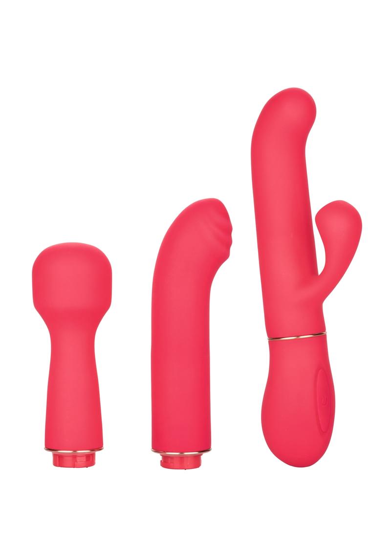 In Touch Passion Trio Rechargeable Silicone Vibrator with 3 Interchangeable Attachments - Pink