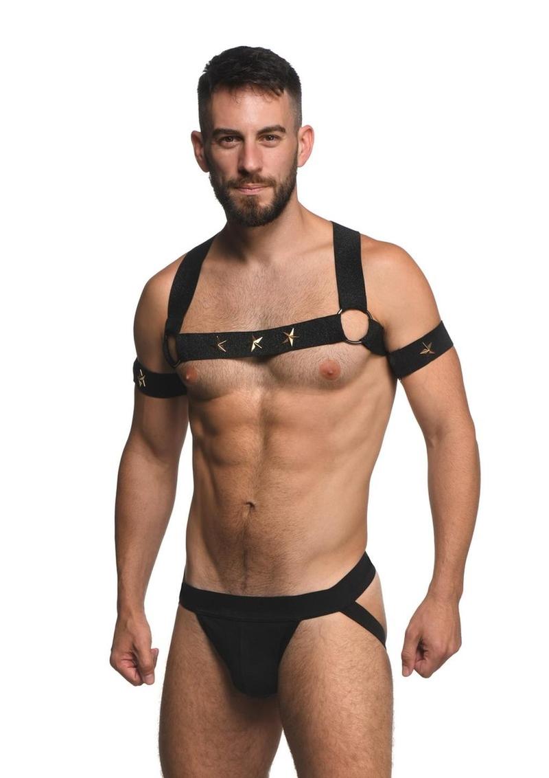 Ms Rave Chest Harness Lxl Blk/Gld