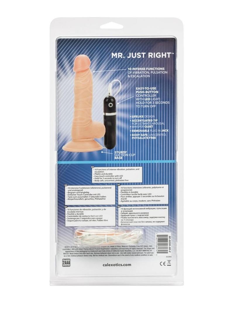 Mr Just Right Vibrating Dildo with Bullet