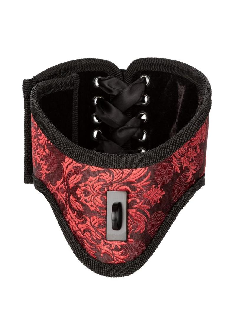 Scandal Posture Collar with Cuffs